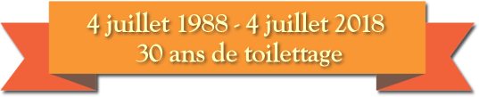 30 ans de toilettage